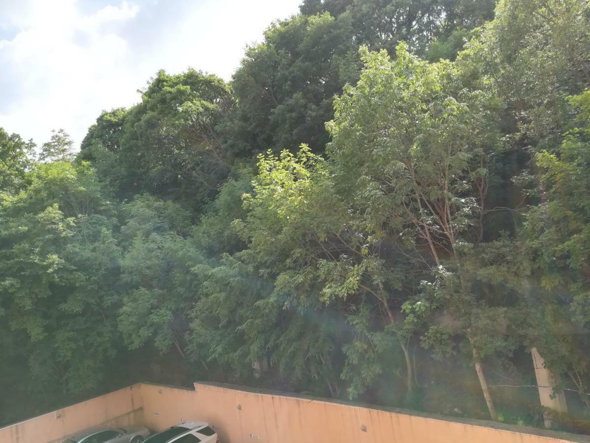 גולדן סנדס Sunrise Complex Apartments מראה חיצוני תמונה